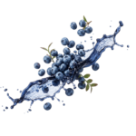 Blueberry Fruit Splash Water Isolated on Transparent Background