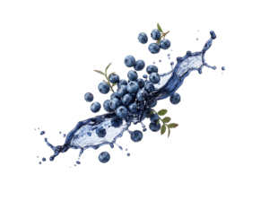 Blueberry Fruit Splash Water Isolated on Transparent Background