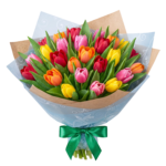 Colorful Tulips Flower Bouquet Wrapped in Paper Transparent Background