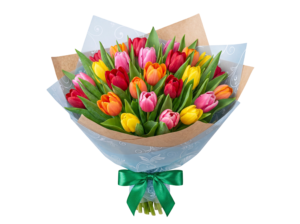 Colorful Tulips Flower Bouquet Wrapped in Paper Transparent Background