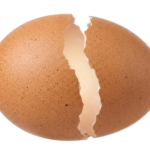 Cracked Brown Egg Shell Half Transparent Background