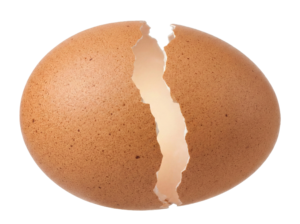Cracked Brown Egg Shell Half Transparent Background