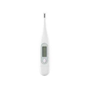 Digital Medical Body Thermometer Isolated