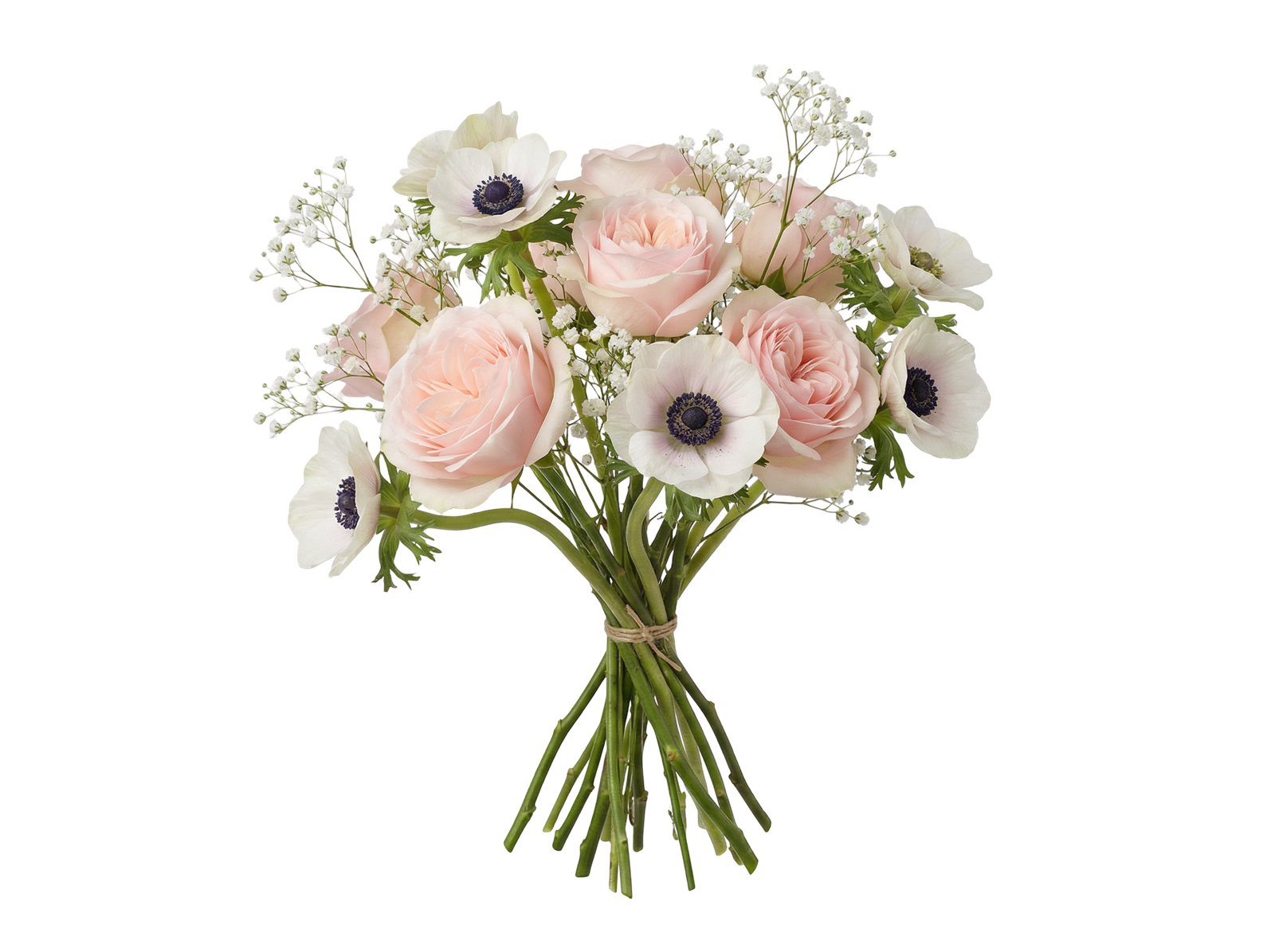 Elegant Rose and Anemone Flower Bouquet Bunch Transparent Background