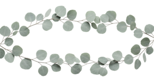 Eucalyptus Green Leaves Wreath Frame Transparent Background