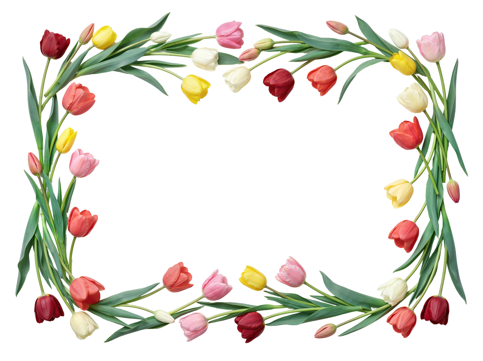 Floral Flower and Leaf Frame Border