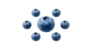 Fresh Blueberries Circle Composition