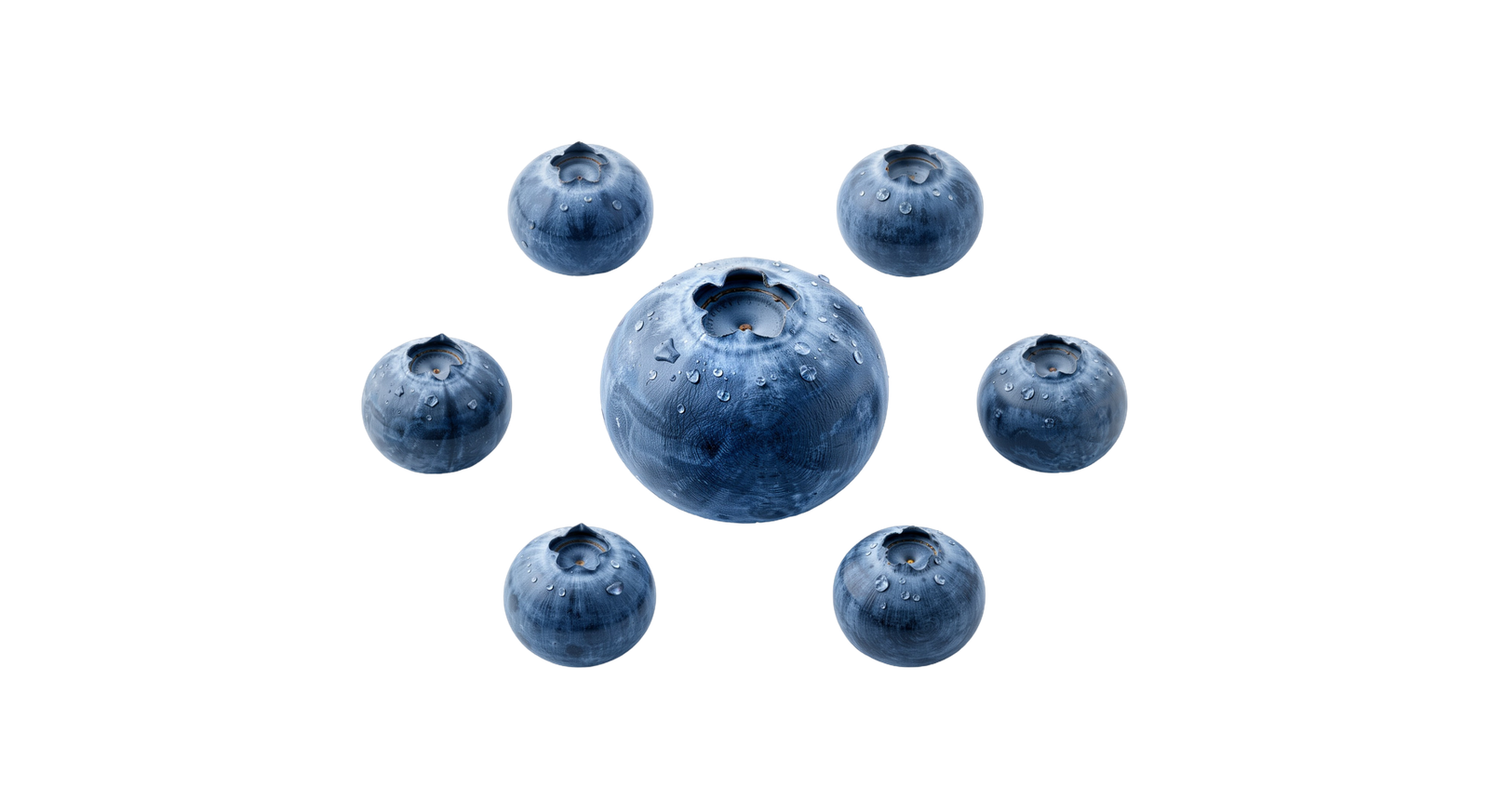 Fresh Blueberries Circle Composition