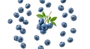 Fresh Blueberries Cluster with Green Leaves