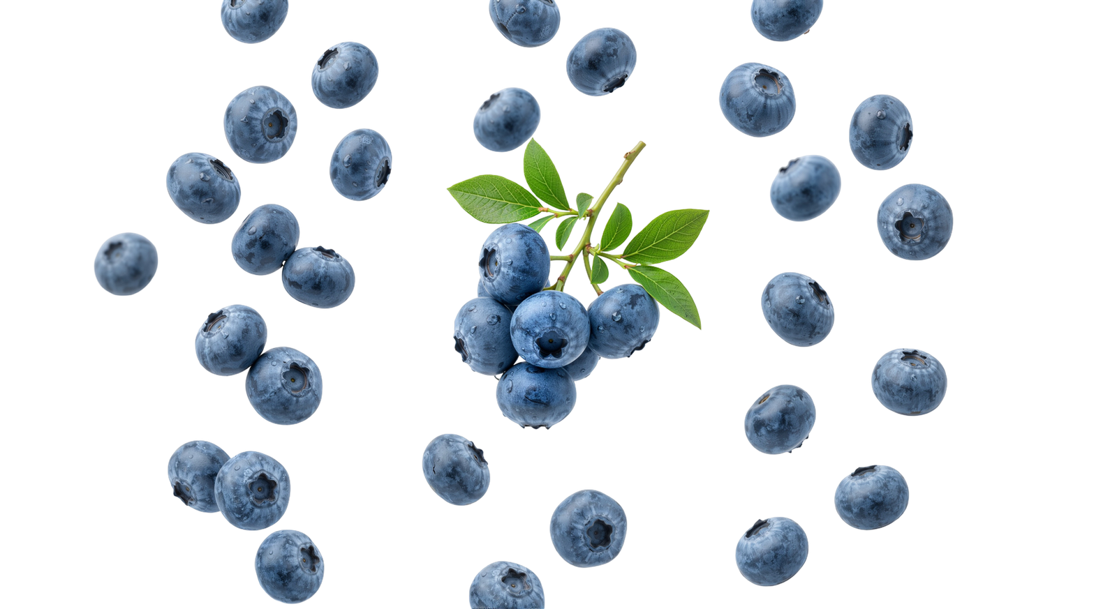 Fresh Blueberries Cluster with Green Leaves