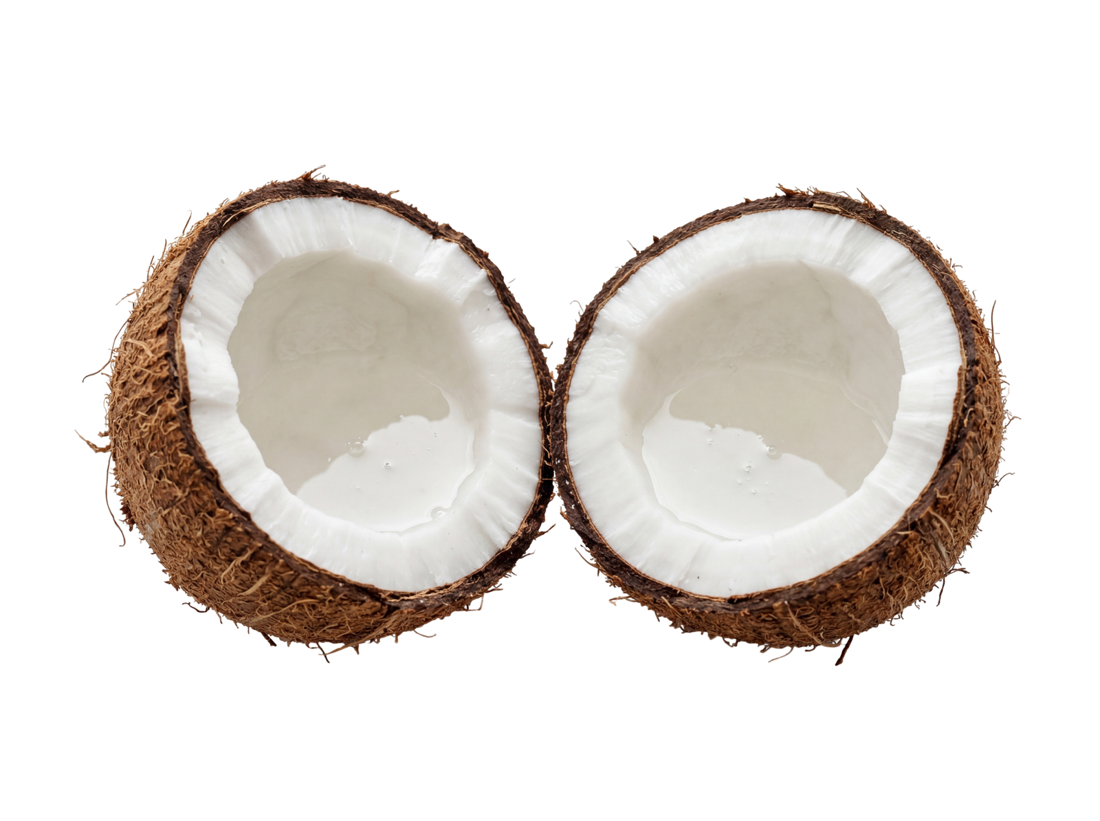 Fresh Cracked Coconut Halves