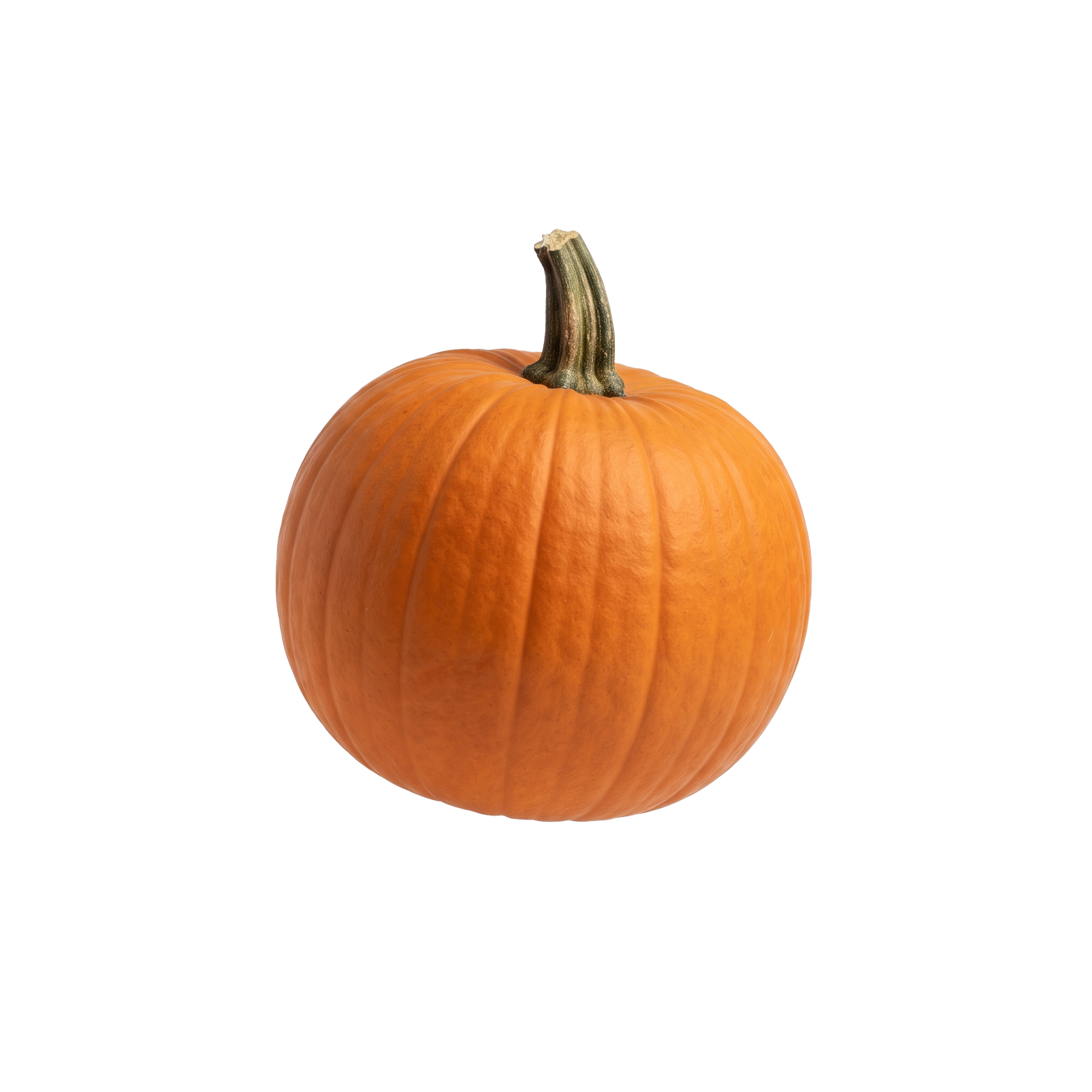 Png4Free