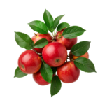 Fresh Red Apples Cluster with Green Leaves