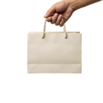 Hand Holding Paper Shopping Bag Isolated