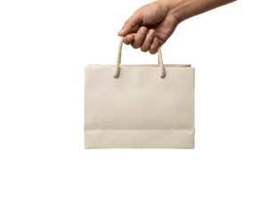 Hand Holding Paper Shopping Bag Isolated