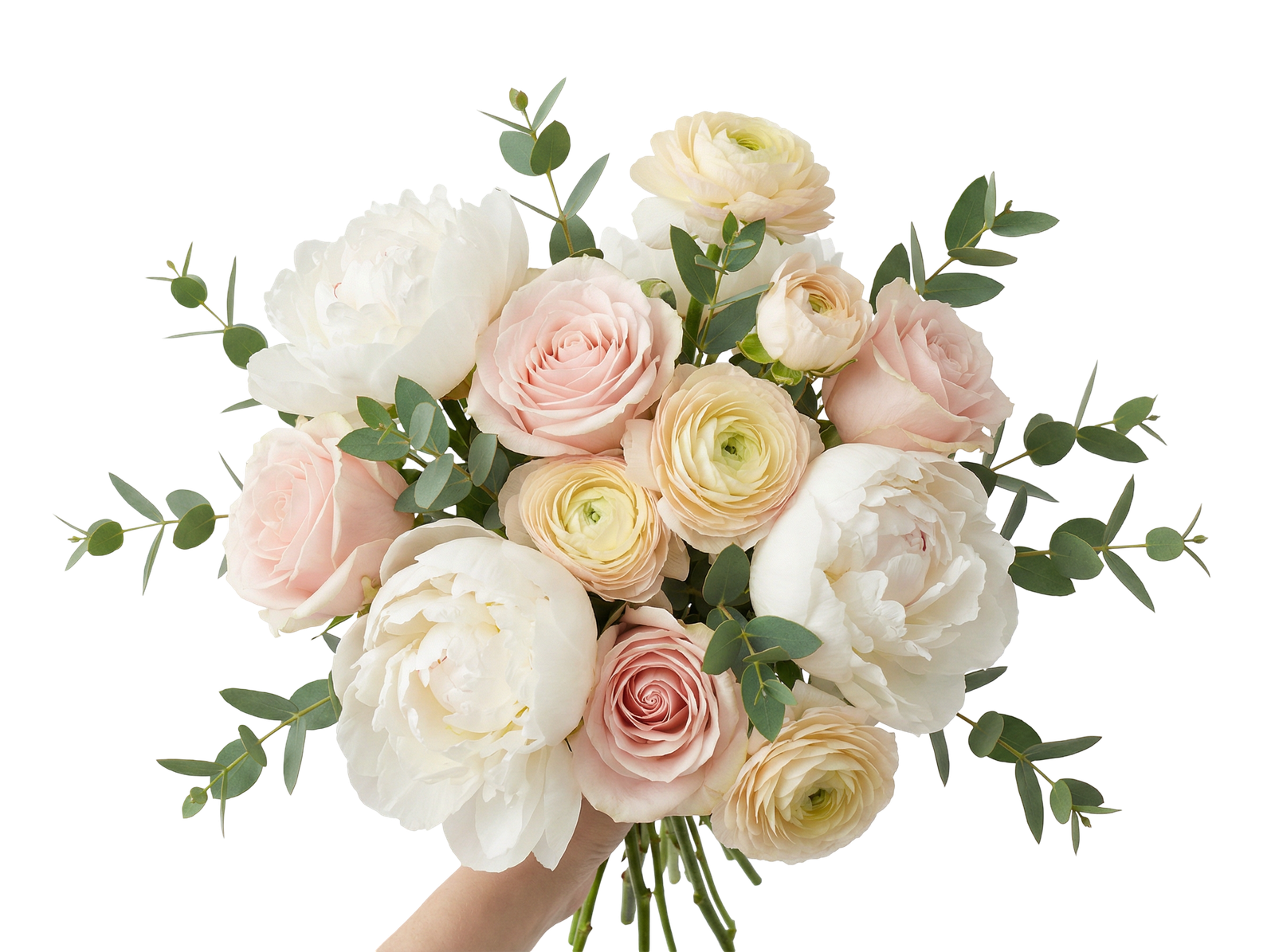 Hand Holding Romantic Peony Rose Flower Bouquet Transparent Background