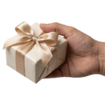Hand Holding Wrapped Gift Box Isolated