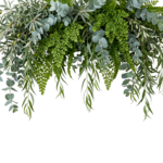 Hanging Green Leaves Garland Border Isolated
