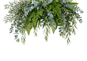 Hanging Green Leaves Garland Border Isolated