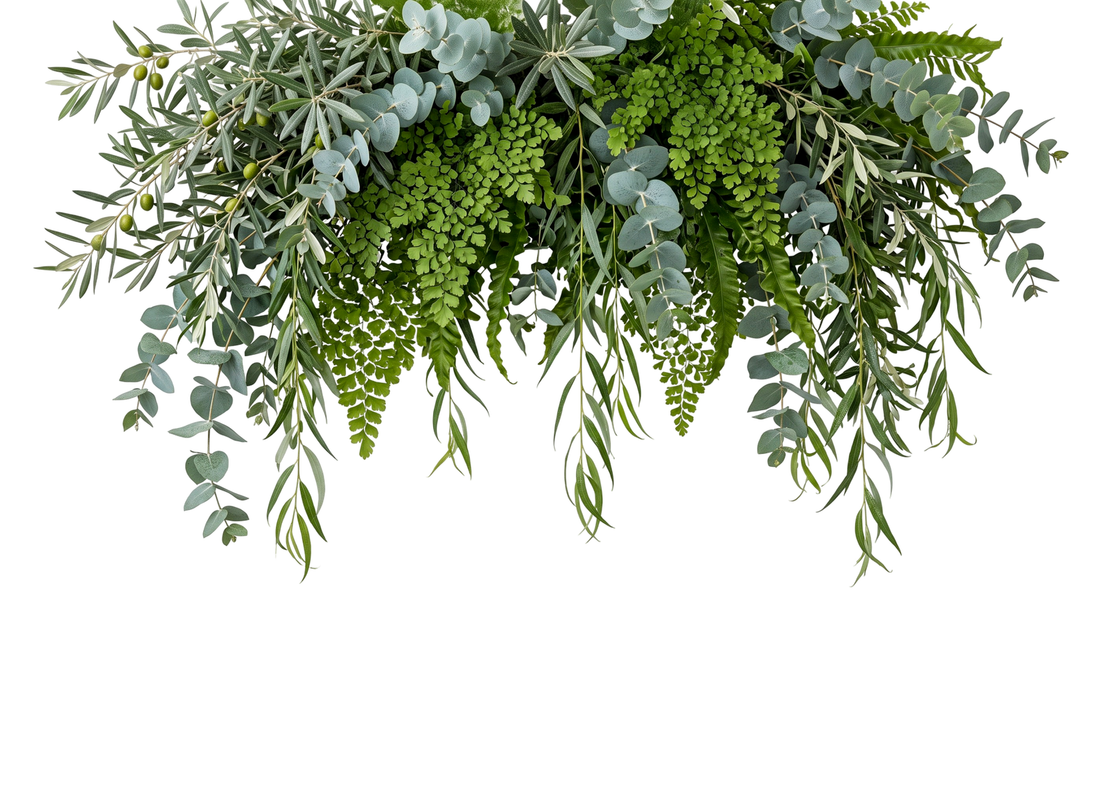 Hanging Green Leaves Garland Border Isolated