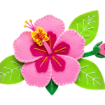 Pink Hibiscus Flower with Leaves Transparent Background