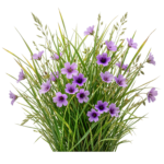 Purple Wildflowers and Green Grass Bush Bouquet Transparent Background