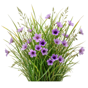 Purple Wildflowers and Green Grass Bush Bouquet Transparent Background