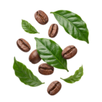 Roasted Coffee Beans With Fresh Green Leaves Isolated
