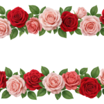 Rose Flower Garland Borders Set Transparent Background