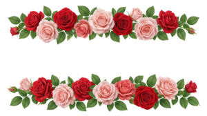 Rose Flower Garland Borders Set Transparent Background