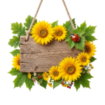 Rustic Wooden Board Sign with Sunflowers and Leaves Transparent Background