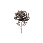 Single black rose with detailed petals, isolated on white.