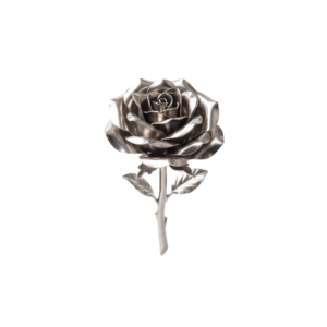 Single black rose with detailed petals, isolated on white.