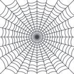Spider Web Mesh Isolated on Transparent Background
