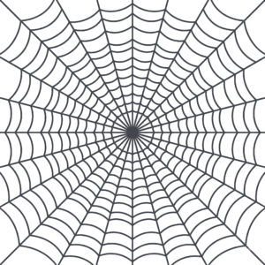 Spider Web Mesh Isolated on Transparent Background