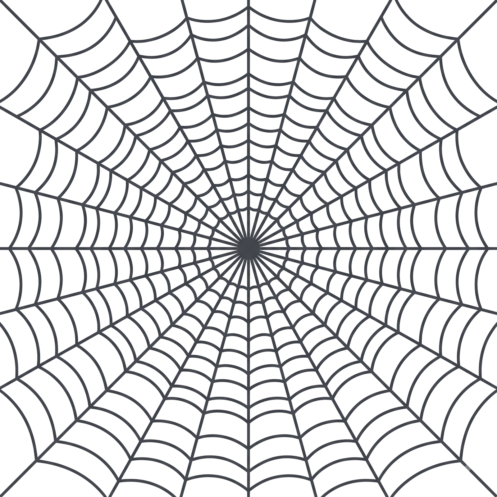 Spider Web Mesh Isolated on Transparent Background