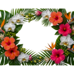 Tropical Hibiscus Flowers and Palm Leaves Frame Isolated