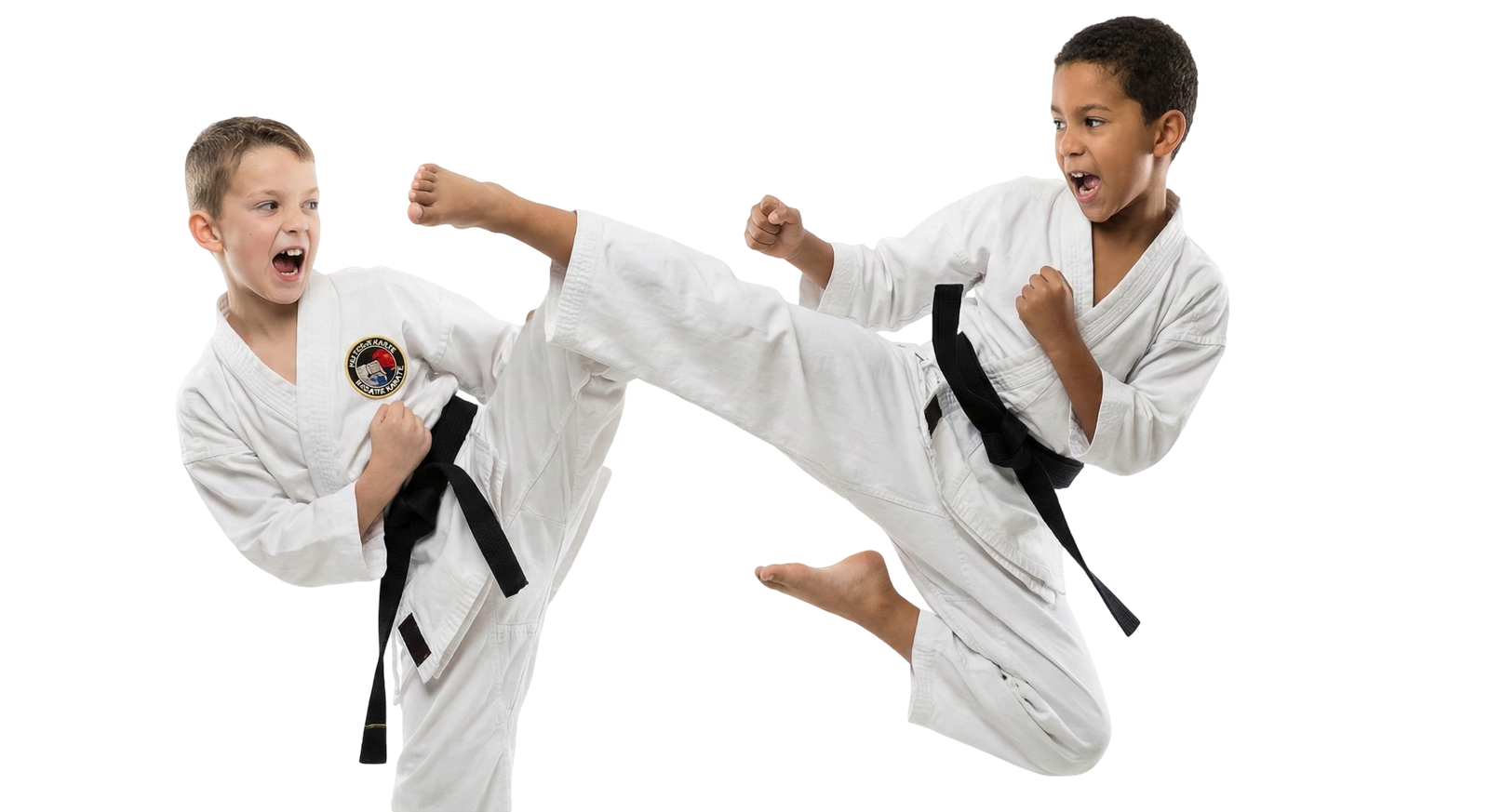 Two Boys Practicing Karate Kicks Martial Arts Sports