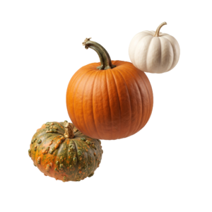 Various Pumpkins and Gourds Isolated on Transparent Background