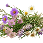 Wildflowers and Grasses Bouquet Bunch Transparent Background