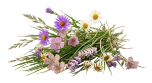 Wildflowers and Grasses Bouquet Bunch Transparent Background
