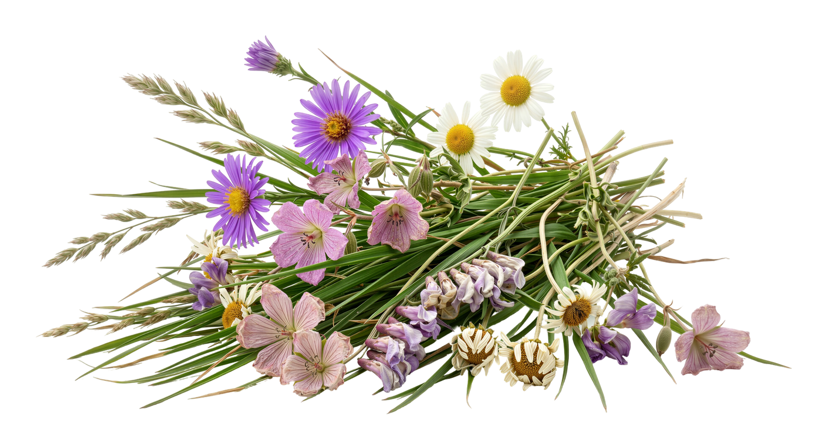 Wildflowers and Grasses Bouquet Bunch Transparent Background