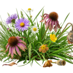 Wildflowers and Green Grass Clump Arrangement Transparent Background