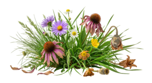 Wildflowers and Green Grass Clump Arrangement Transparent Background