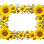 Yellow Sunflower Frame Border