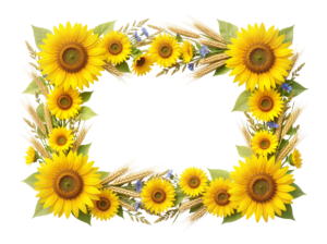 Yellow Sunflower Frame Border